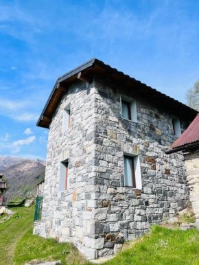 Alex Chalet